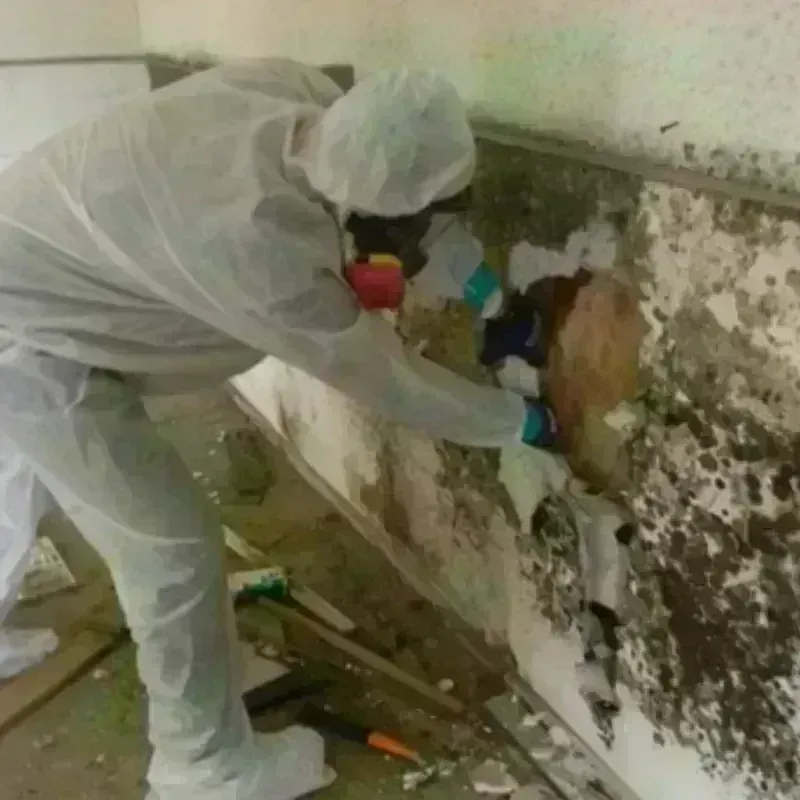 Mold Remediation and Removal in Poquonock Bridge, CT